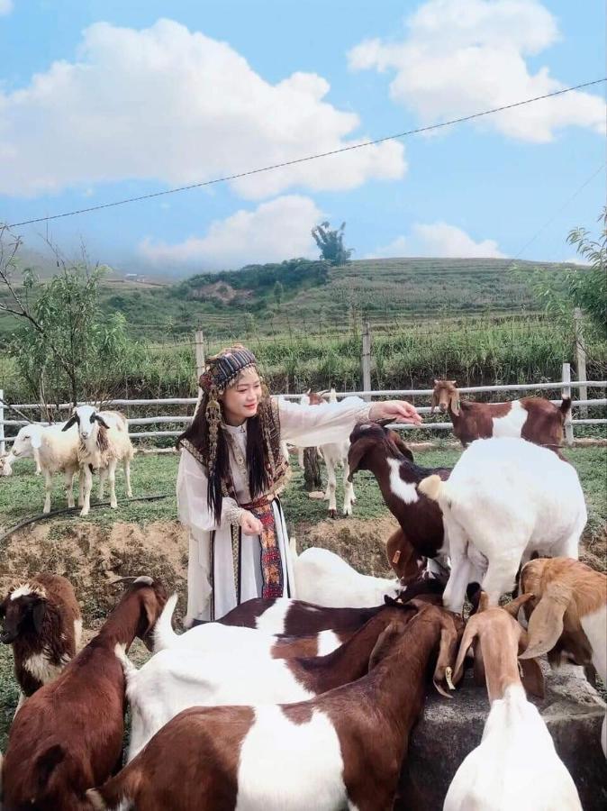 O Chau Homestay Lao Cai Eksteriør billede